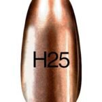 H25